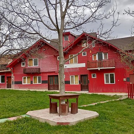 Pensiunea Irina 3 Zărneşti Bagian luar foto