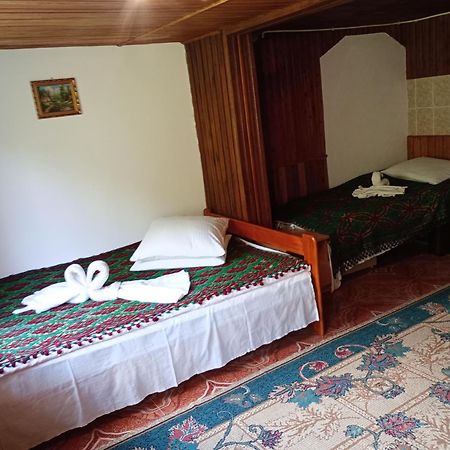 Pensiunea Irina 3 Zărneşti Bagian luar foto