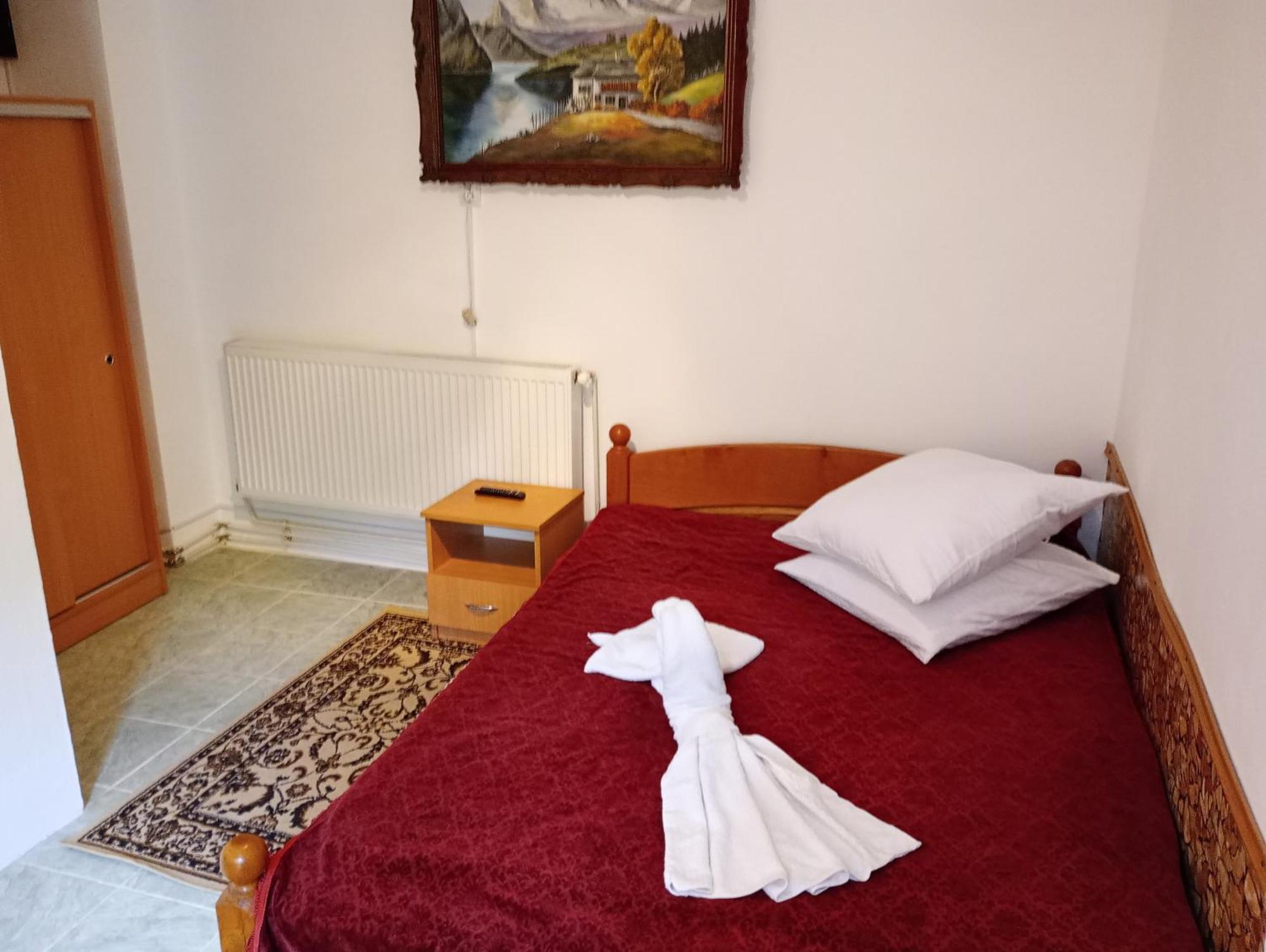 Pensiunea Irina 3 Zărneşti Bagian luar foto