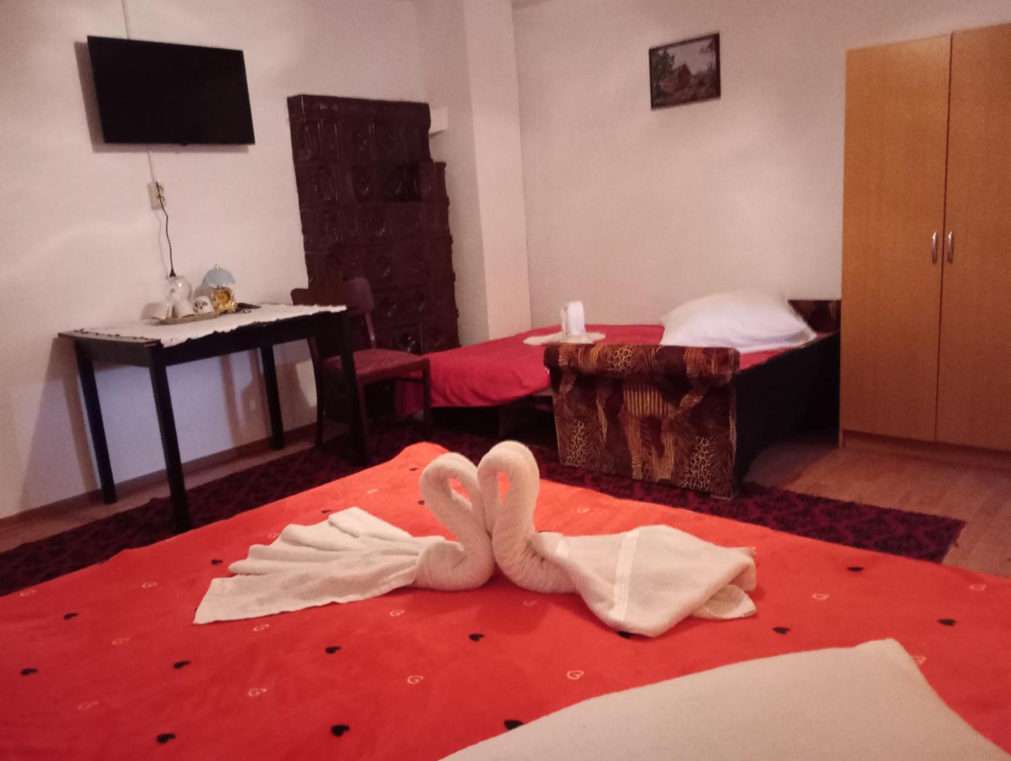Pensiunea Irina 3 Zărneşti Bagian luar foto
