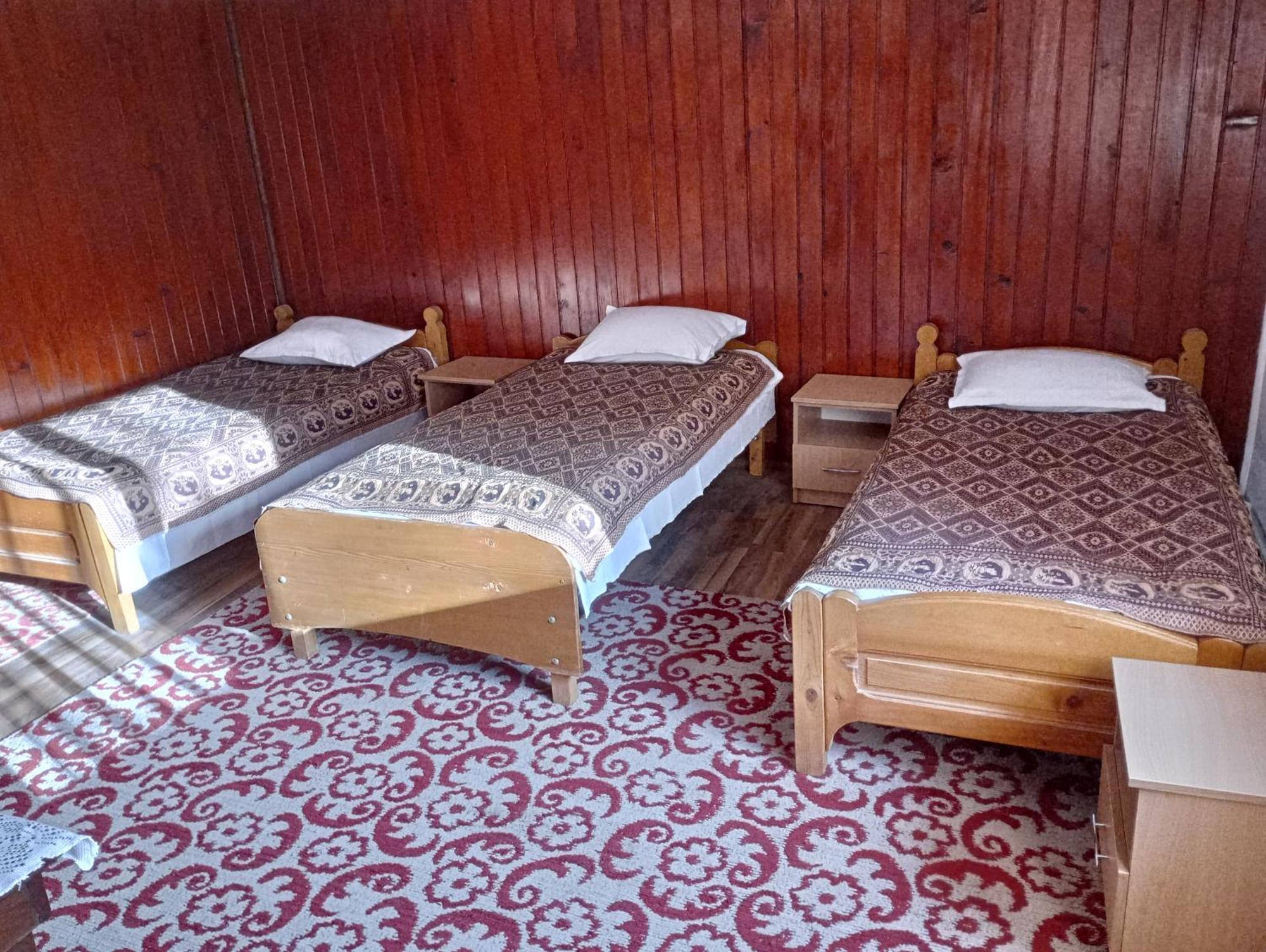 Pensiunea Irina 3 Zărneşti Bagian luar foto