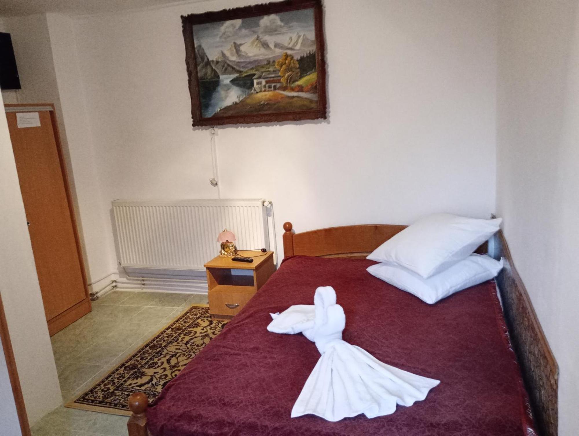 Pensiunea Irina 3 Zărneşti Bagian luar foto