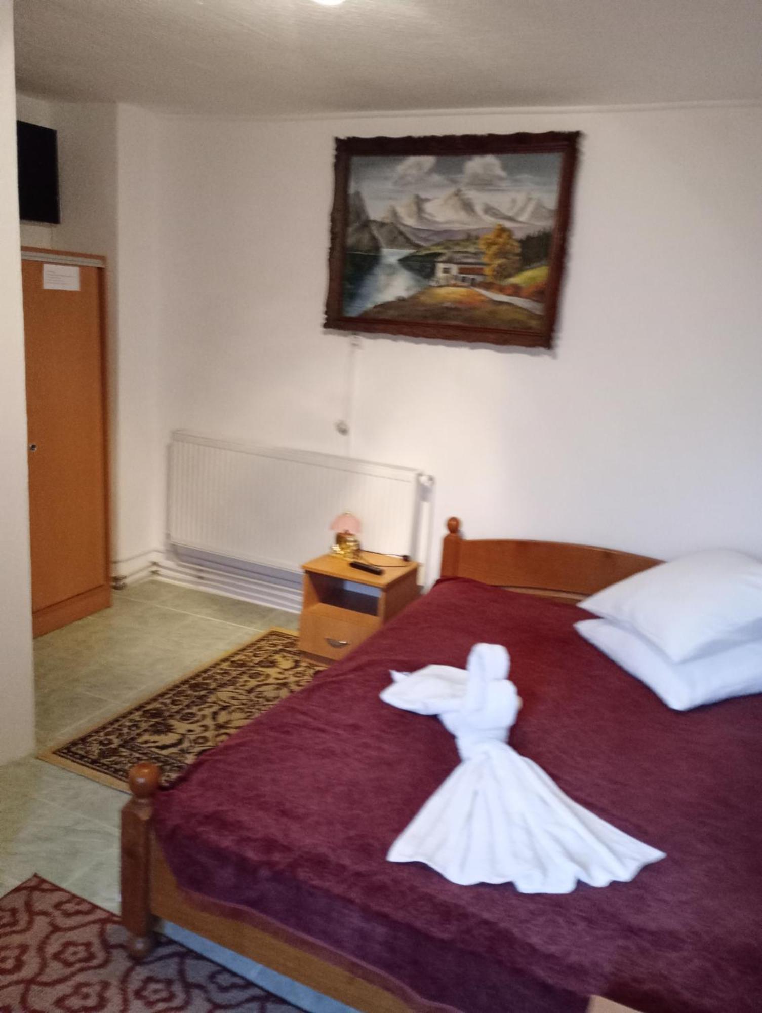 Pensiunea Irina 3 Zărneşti Bagian luar foto