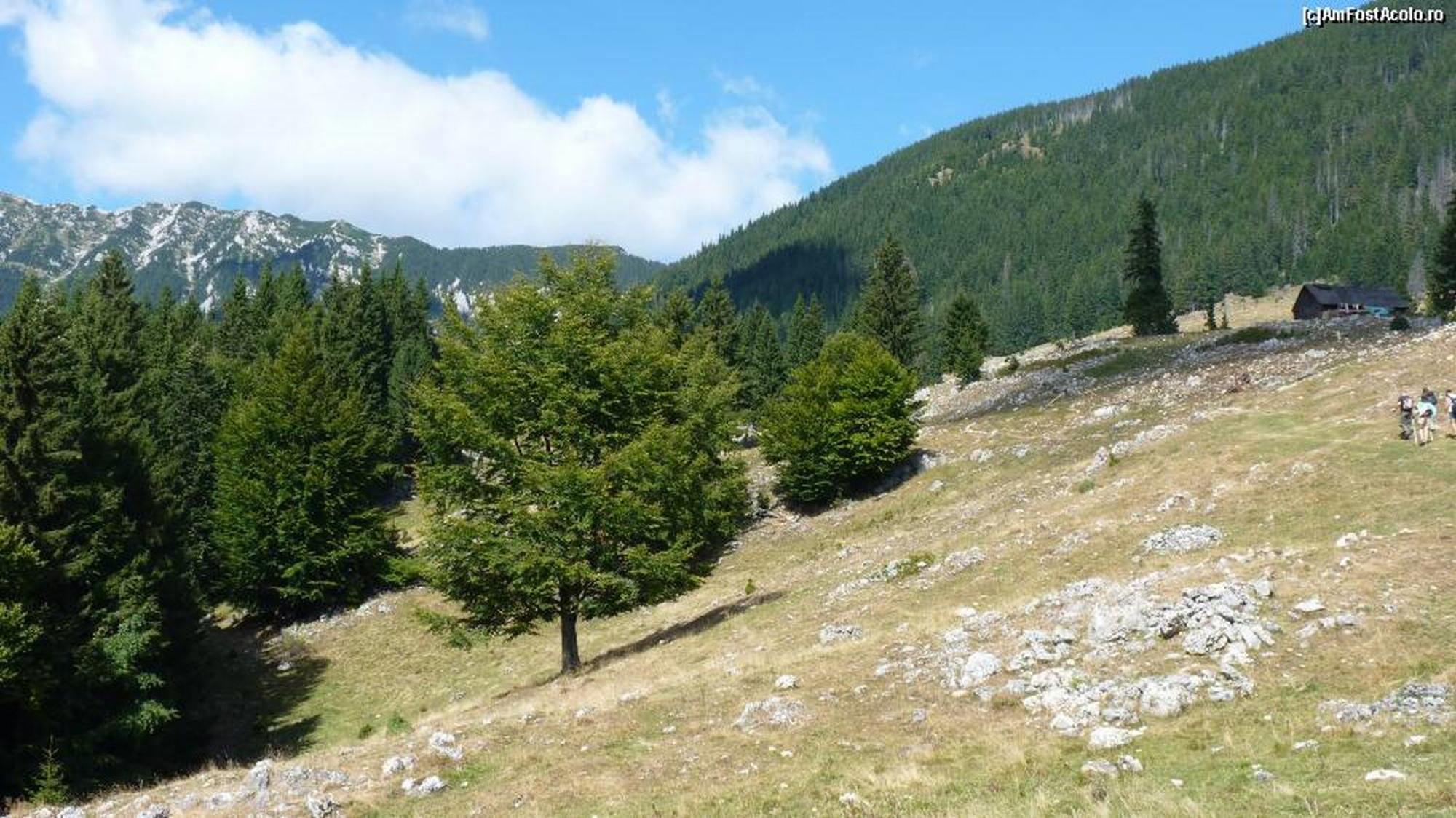 Pensiunea Irina 3 Zărneşti Bagian luar foto