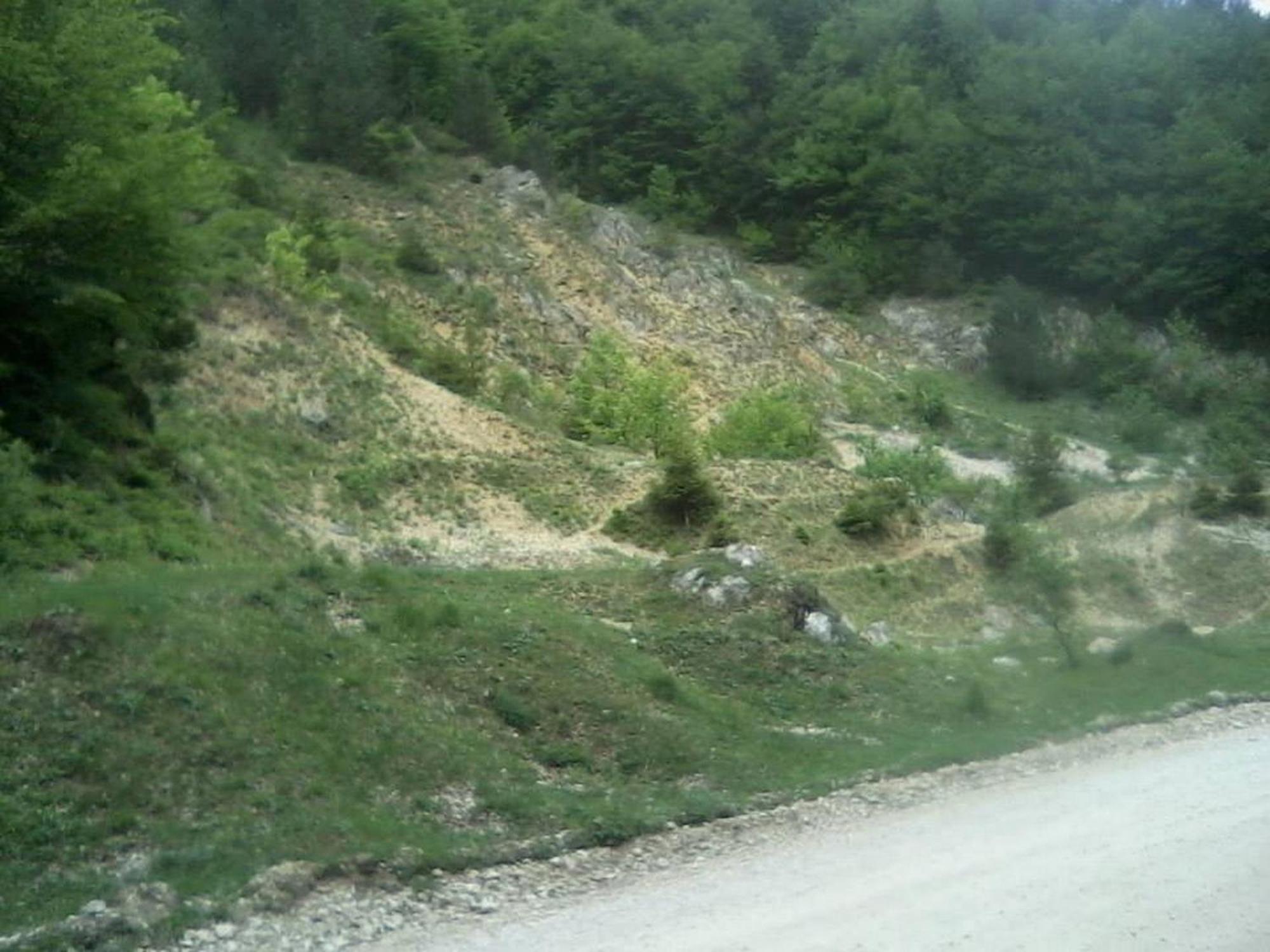 Pensiunea Irina 3 Zărneşti Bagian luar foto