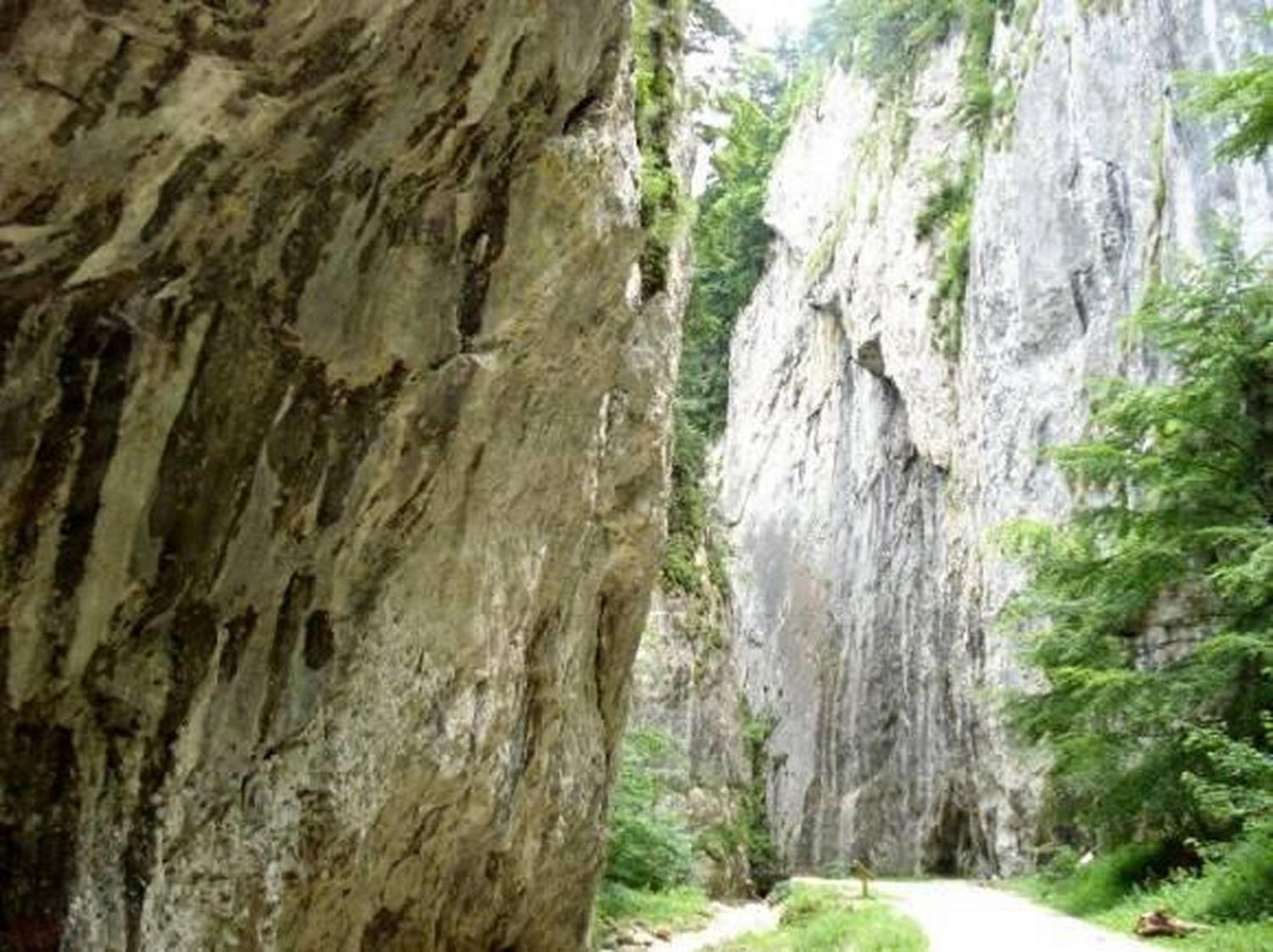 Pensiunea Irina 3 Zărneşti Bagian luar foto