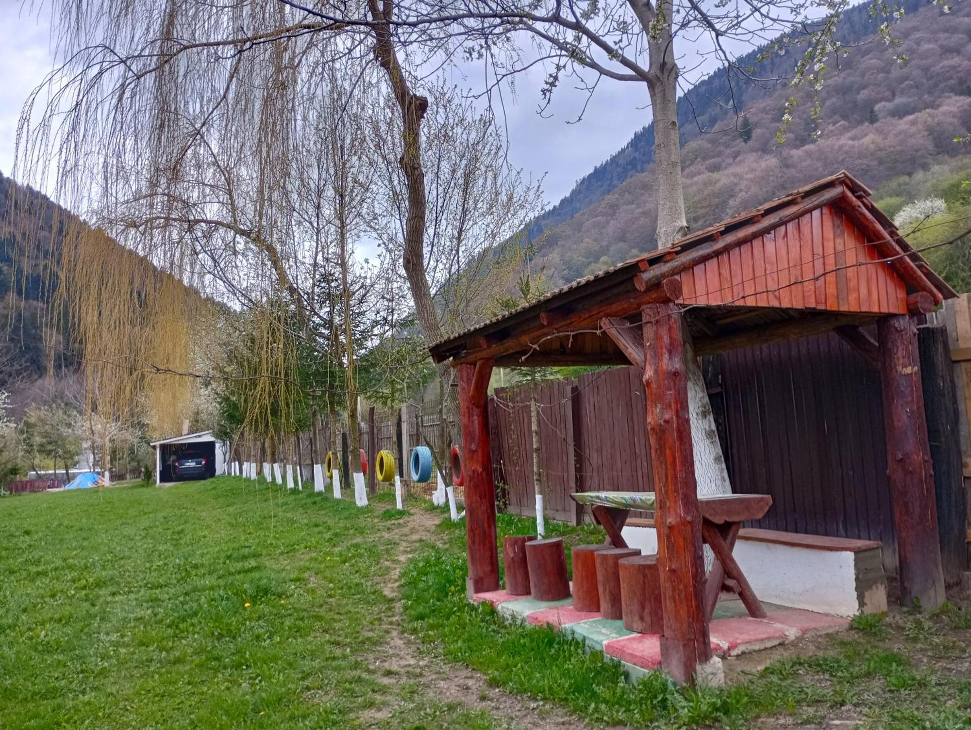 Pensiunea Irina 3 Zărneşti Bagian luar foto