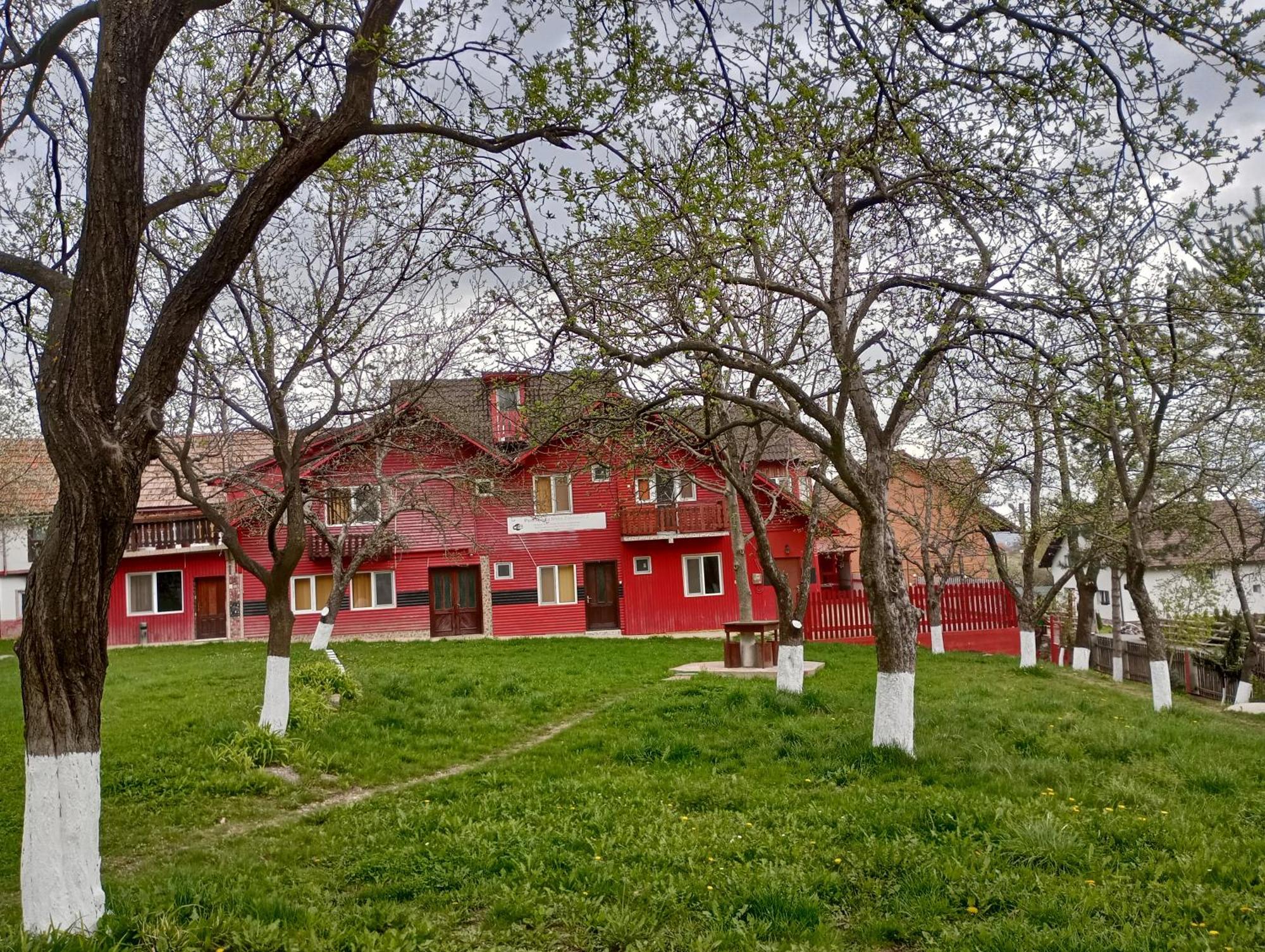 Pensiunea Irina 3 Zărneşti Bagian luar foto