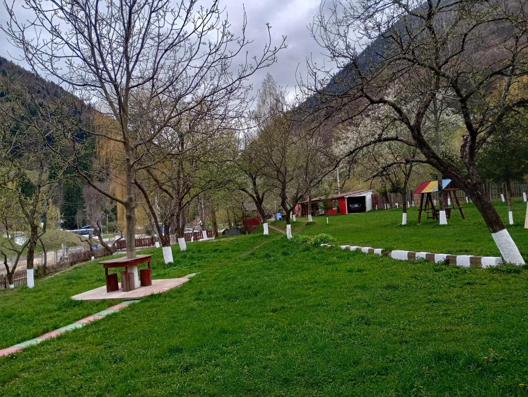 Pensiunea Irina 3 Zărneşti Bagian luar foto