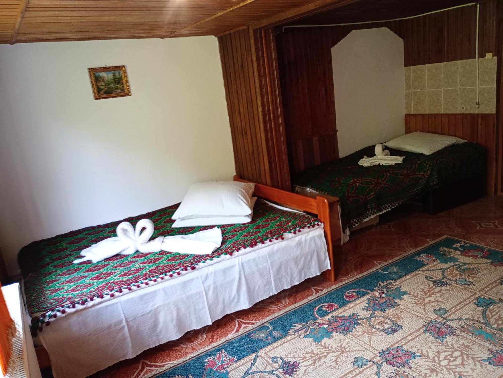 Pensiunea Irina 3 Zărneşti Bagian luar foto